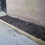 The box and platform was removed and some edging and compost were added by staff at the building.